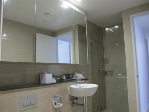 IMG_0218 (Large)