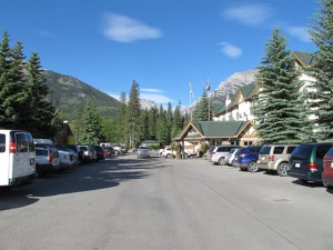 IMG_1442 (Large)