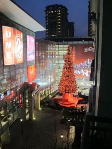 IMG_1811 (Large)