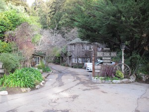 IMG_3432 (Large)