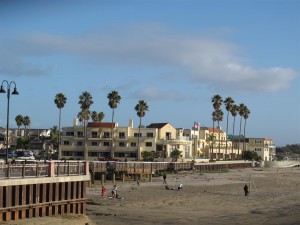 IMG_3544 (Large)