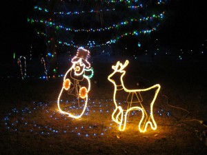 IMG_1359 (Large)