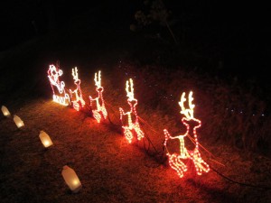 IMG_1374 (Large)