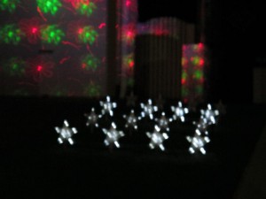 IMG_1378 (Large)