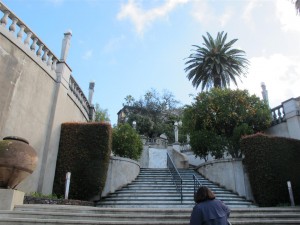 Hearst2